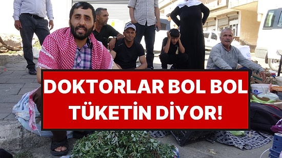 Bahçelerde Kendiliğinden Çıkıyor: Doğal D Vitamini Pazarda Geçim Kaynağı Oldu