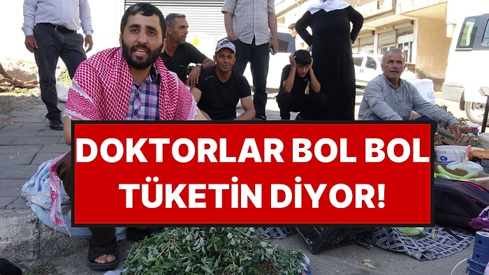 Bahçelerde Kendiliğinden Çıkıyor: Doğal D Vitamini Pazarda Geçim Kaynağı Oldu