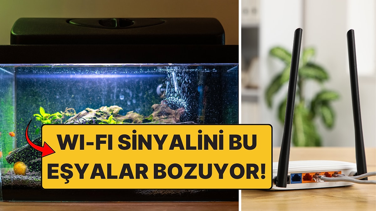 Wi-Fi Sinyalini Bozan 5 Şaşırtıcı Şey: Akvaryum Bile Listede!