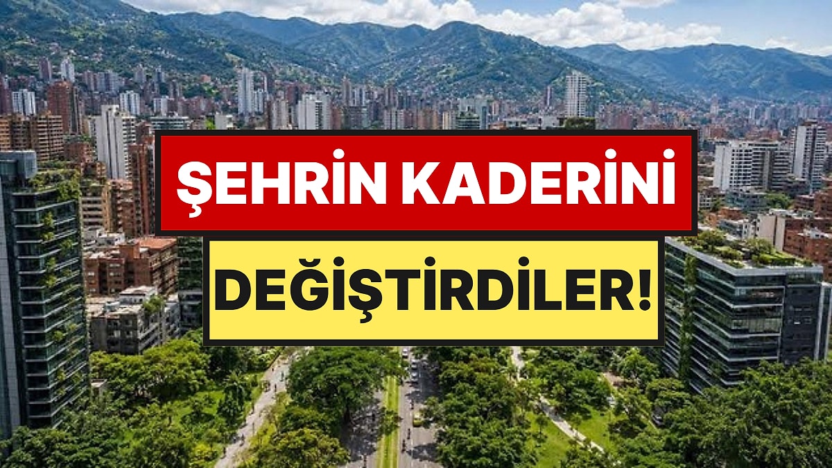 Betonların Arasına 880 Bin Tane Ekerek Şehrin Sıcaklığını Düşürdüler