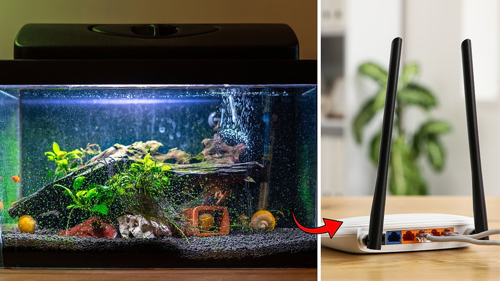 Why is Your Internet Slow? 5 Surprising Household Objects Disrupting Wi-Fi (Even Aquariums)