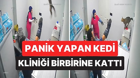 Veteriner Kliniğinde Muayeneden Kaçan Kedi Ortalığı Birbirine Kattı