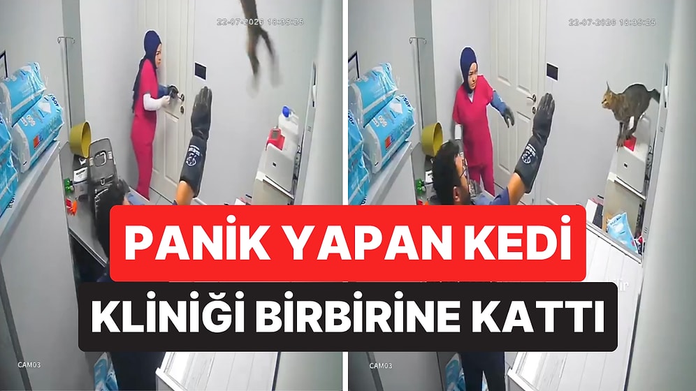 Veteriner Kliniğinde Muayeneden Kaçan Kedi Ortalığı Birbirine Kattı