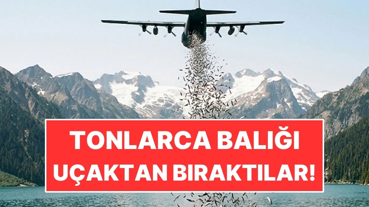 s-4b944c0334637db8ec28a23daf68ea9c01c6288b.jpg