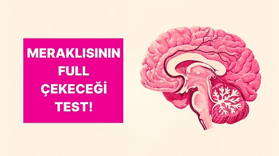 Meraklı İnsanların Başarılı Olacağı Test! 10/10 Yapabilecek misin?