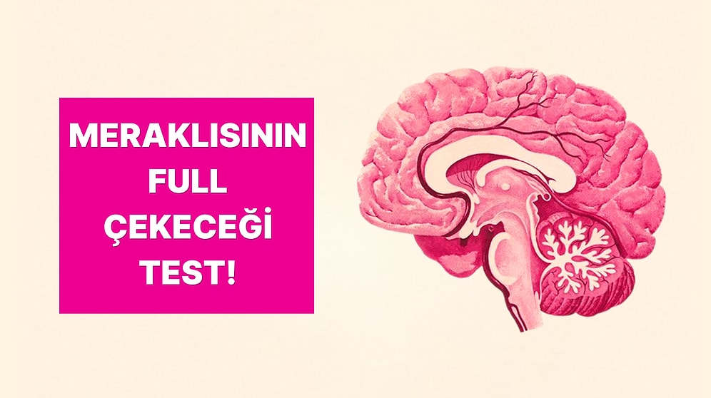 Meraklı İnsanların Başarılı Olacağı Test! 10/10 Yapabilecek misin?