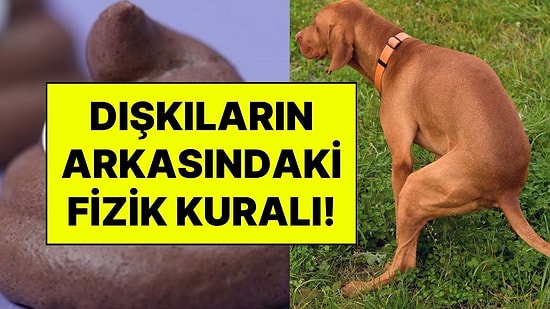 Her Gün Kullandığımız Kaka Emojisi Neden Hatalı? Dışkı Şekillerinin Arkasındaki Gizli Fizik Kuralı Çözüldü