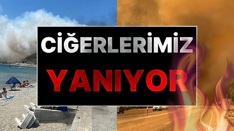 Türkiye Alev Alev: 4 İlde Peş Peşe Yangın!