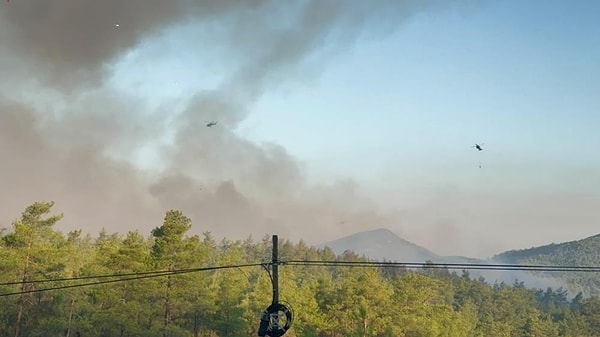 Muğla'nın Seydikemer ve Fethiye ilçelerinde devam eden iki ayrı orman yangınına, havanın aydınlanmasıyla birlikte yangın söndürme uçakları ve helikopterler yeniden havalandı.