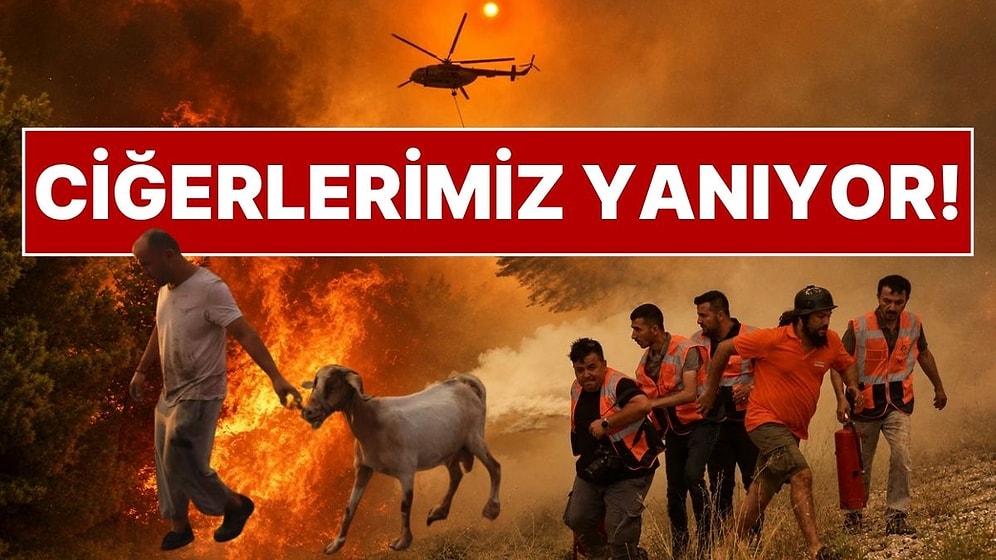 Antalya, Muğla, Balıkesir, Çanakkale, İzmir… Bakan, Orman Yangınlarındaki Son Durumu Açıkladı