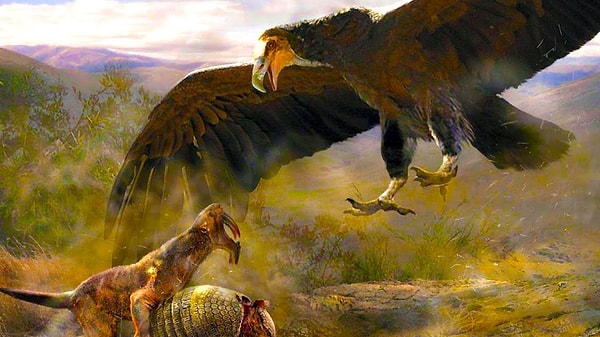 Milyonlarca yıl önce Güney Amerika semalarında süzülen Argentavis, şimdiye kadar yaşamış en büyük uçan kuşlardan biri olarak kabul ediliyor.