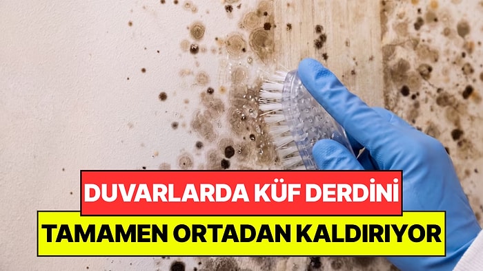 Duvarlar Pırıl Pırıl Oluyor: Rutubet ve Küfü Tamamen Yok Etmenin En Kolay Yolu Belli Oldu!