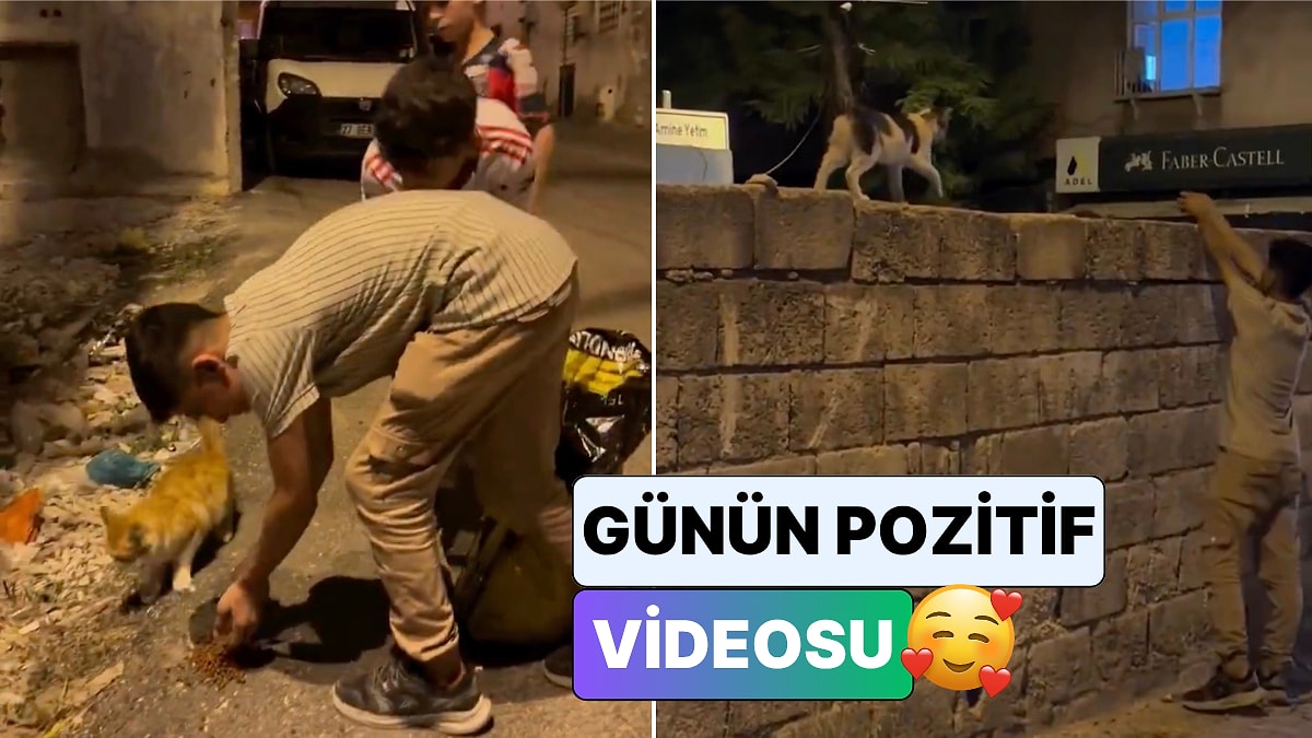 Gaziantep'te Sokak Sokak Gezip Kedilere Mama Bırakan Çocuklar Umutları Yeşertti