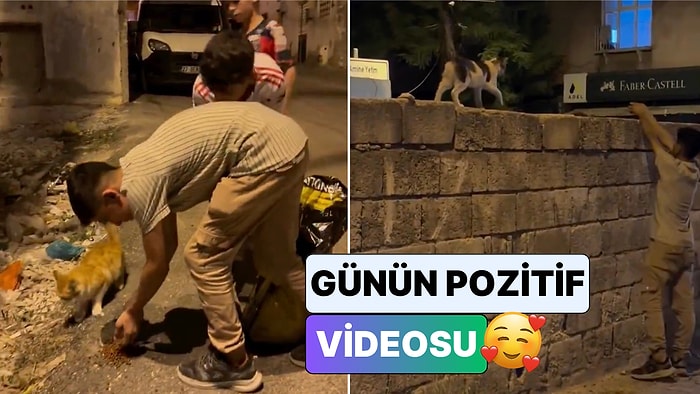 Gaziantep'te Sokak Sokak Gezip Kedilere Mama Bırakan Çocuklar Umutları Yeşertti
