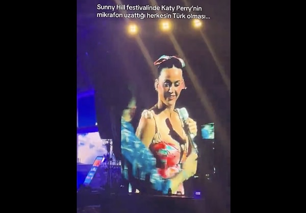 So, what exactly is this Sunny Hill Festival?