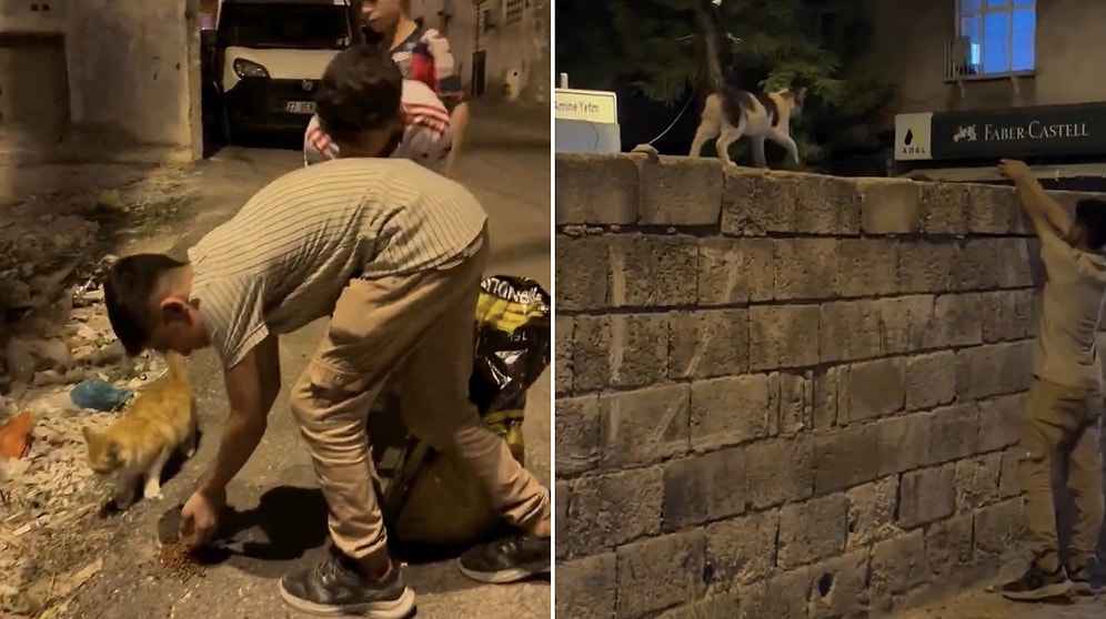 Pure Kindness: Young Kids Feed Stray Cats in Gaziantep Streets and Inspire Hope