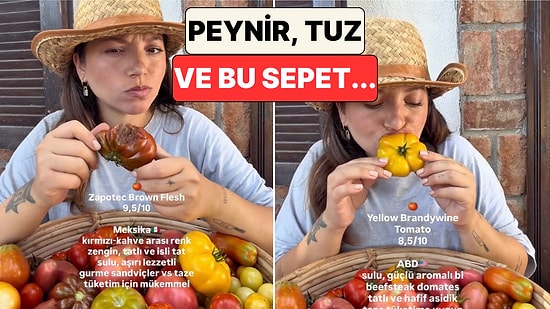 Ağzımız Sulandı: Bir İçerik Üreticisi Kendi Yetiştirdiği Çeşit Çeşit Domatesleri Tadarak Puanladı