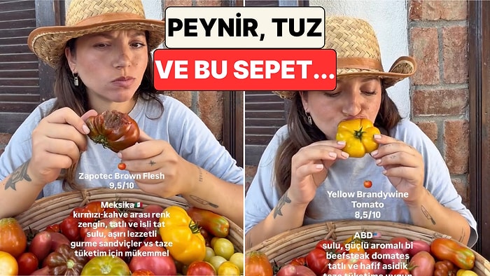 Ağzımız Sulandı: Bir İçerik Üreticisi Kendi Yetiştirdiği Çeşit Çeşit Domatesleri Tadarak Puanladı