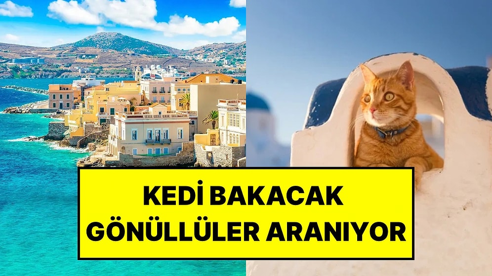 Yunan Adasında Ücretsiz Konaklama Fırsatı: Başvurular Eylül’de Başlıyor