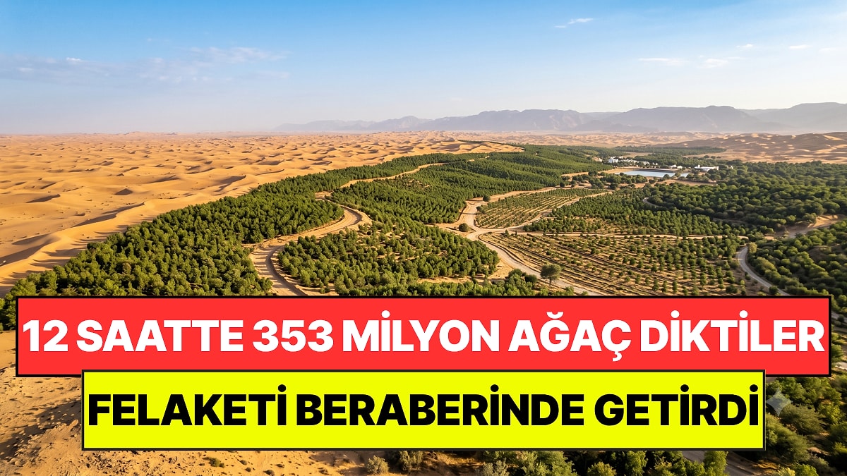 Etiyopya'da 12 Saatte 353 Milyon Ağaç Dikildi, Su Kaynakları Çöktü