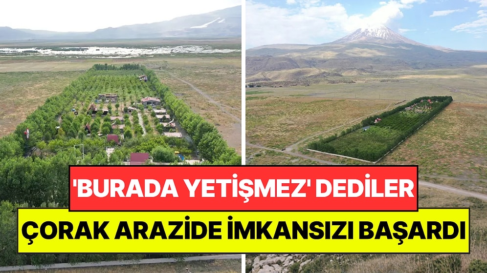 'Burada Hiçbir Şey Yetişmez' Dediler: İnatla Çorak Toprağı Meyve Bahçesine Dönüştürdü