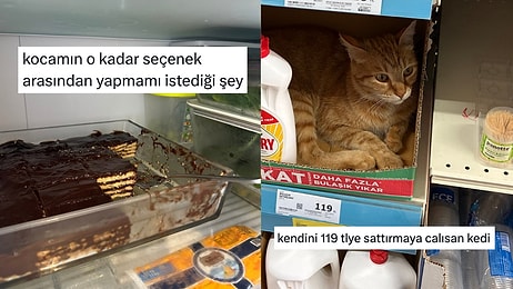 Günlük Hayatta Karşılaştıkları Manzaralardan Mizah Çıkaran Kişiler