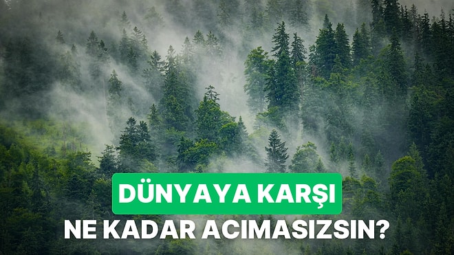 Yüzleşme Vakti: Sen Doğaya Karşı Ne Kadar Acımasızsın?