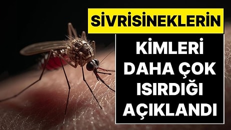 Bilim İnsanları Açıkladı: Sivrisinekler Kurbanlarını Seçerken Neye Dikkat Ediyor?