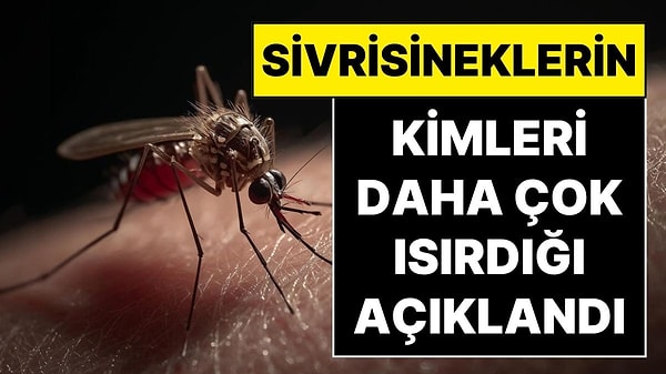 Bilim İnsanları Açıkladı: Sivrisinekler Kurbanlarını Seçerken Neye Dikkat Ediyor?