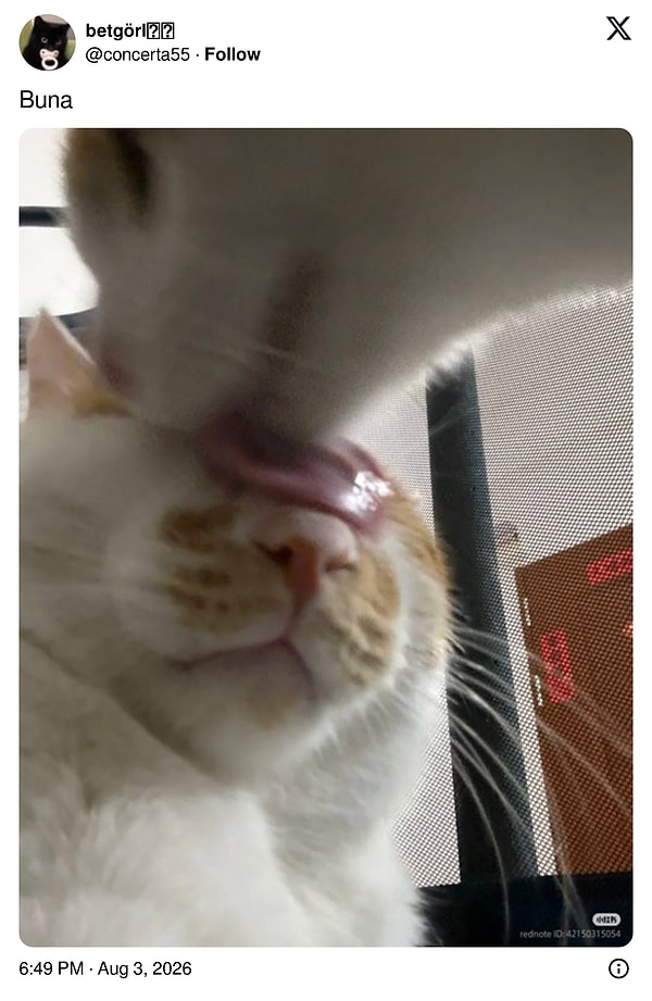 👇