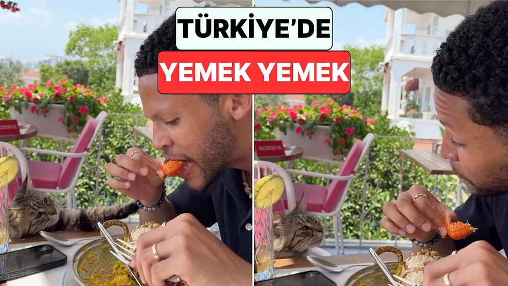 Masadaki Davetsiz Misafir: Türkiye'de Akşam Yemeği Yiyen Turistin Kediyle İmtihanı