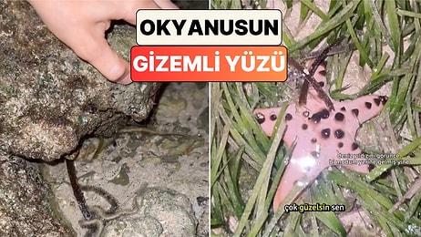 Filipinler'de Suların Çekilmesiyle Ortaya Çıkan Görüntü Hem Ürküttü Hem Büyüledi