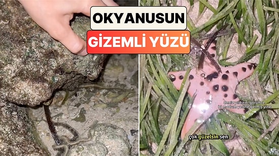 Filipinler'de Suların Çekilmesiyle Ortaya Çıkan Görüntü Hem Ürküttü Hem Büyüledi