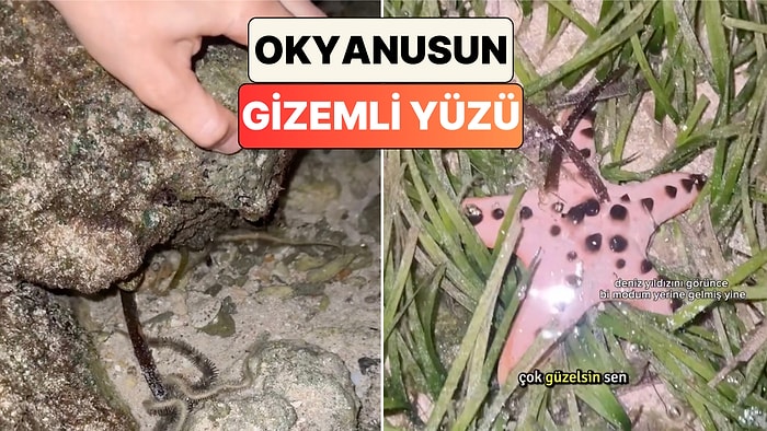 Filipinler'de Suların Çekilmesiyle Ortaya Çıkan Görüntü Hem Ürküttü Hem Büyüledi