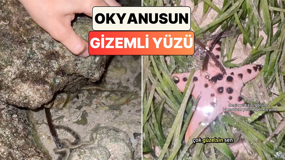 Filipinler'de Suların Çekilmesiyle Ortaya Çıkan Görüntü Hem Ürküttü Hem Büyüledi