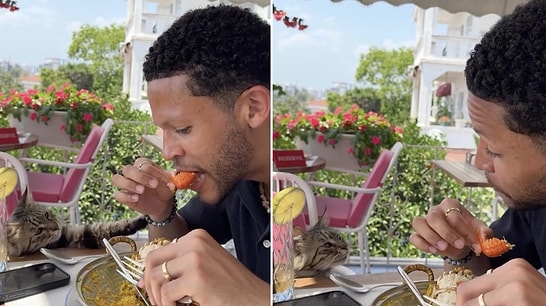 Uninvited Guest: Tourist in Turkey Has Hilarious Encounter With Persistent Stray Cat