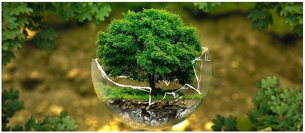 12-17 puan: Konfor odaklı bir tüketici!