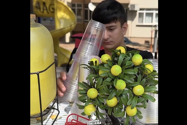 Yaz sıcaklarına birebir olan limonata, kazanç kapısına dönüştü.