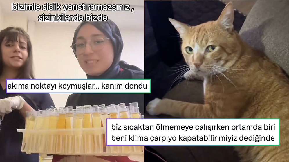 Klima Sevmeyenlerle Verilen Mücadeleden Aile Evinde Telefonla Konuşma Zorluğuna Son 24 Saatin Viral Tweetleri