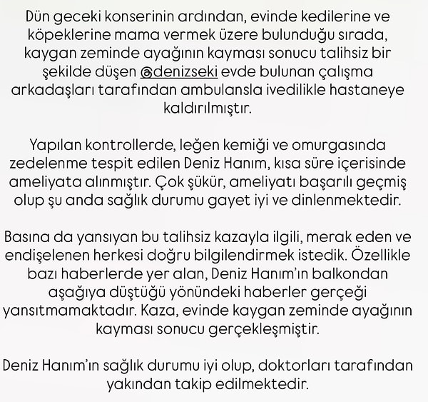In a statement made by the artist's team, it was clarified that Deniz Seki did not fall from the balcony; instead, she slipped on a slick surface while attempting to feed her pets and consequently fell.