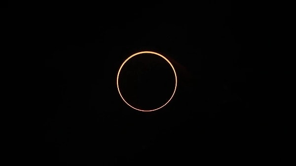 What Do Astrologers Say? Eclipse Interpretations Guided by the Stars