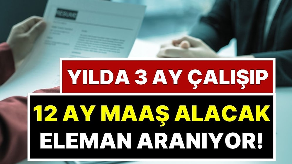 Ünlü Markadan Herkesi Şaşırtan İş İlanı: Yılda 3 Ay Çalışıp 12 Ay Maaş Alacak Eleman Aranıyor
