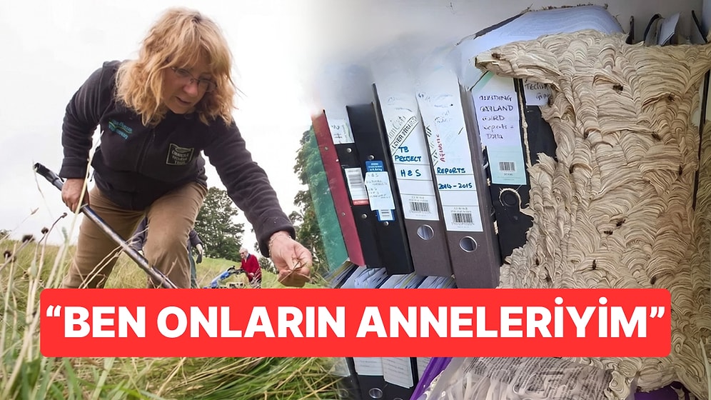 Ofisine Giren Kadın Adeta Neye Uğradığını Şaşırdı: "Ben Onların Anneleriyim..."