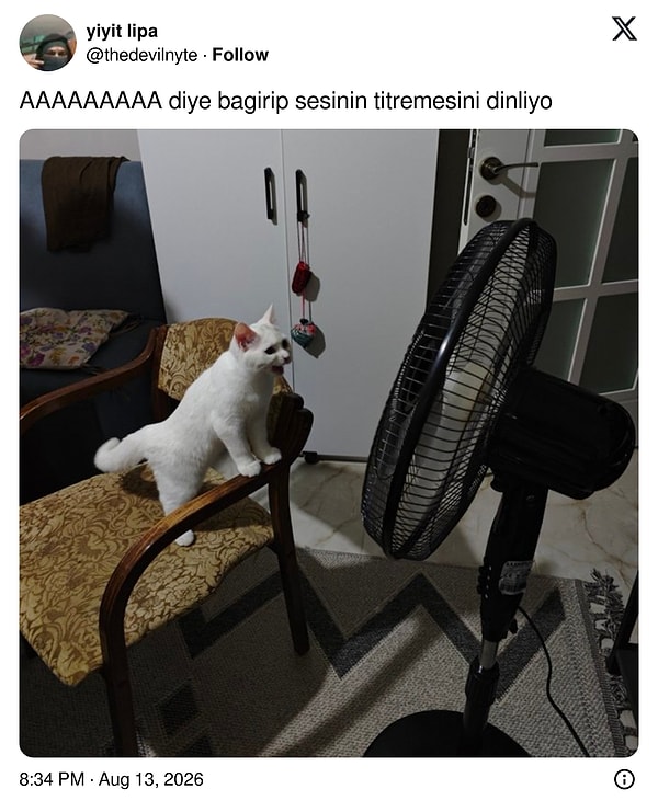 Kapatalım 👋
