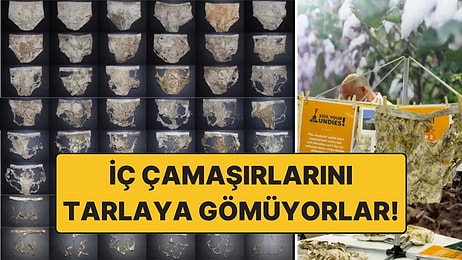 Tarlaya İç Çamaşırı Gömüyorlar: Nedeni Şaşırtıyor