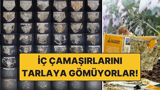 Tarlaya İç Çamaşırı Gömüyorlar: Nedeni Şaşırtıyor