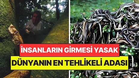 Haritada Var Ama Gitmek İmkansız: Dünyanın En Tehlikeli Adasına Ayak Basan Son Nefesini Veriyor