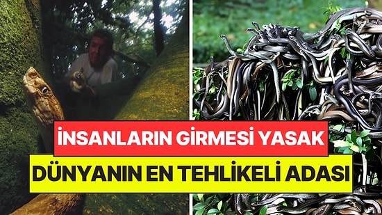 Haritada Var Ama Gitmek İmkansız: Dünyanın En Tehlikeli Adasına Ayak Basan Son Nefesini Veriyor