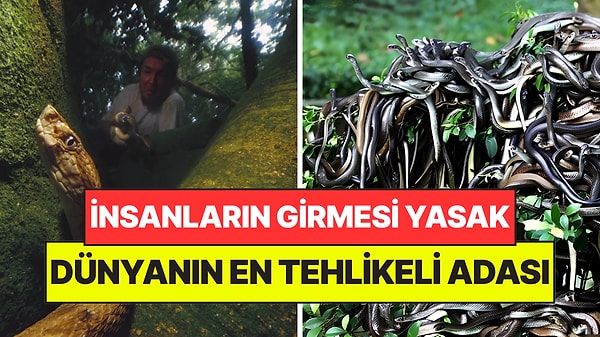 Dünyanın En Tehlikeli Adası: Ayak Basan Son Nefesini Veriyor