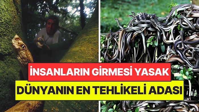 Haritada Var Ama Gitmek İmkansız: Dünyanın En Tehlikeli Adasına Ayak Basan Son Nefesini Veriyor
